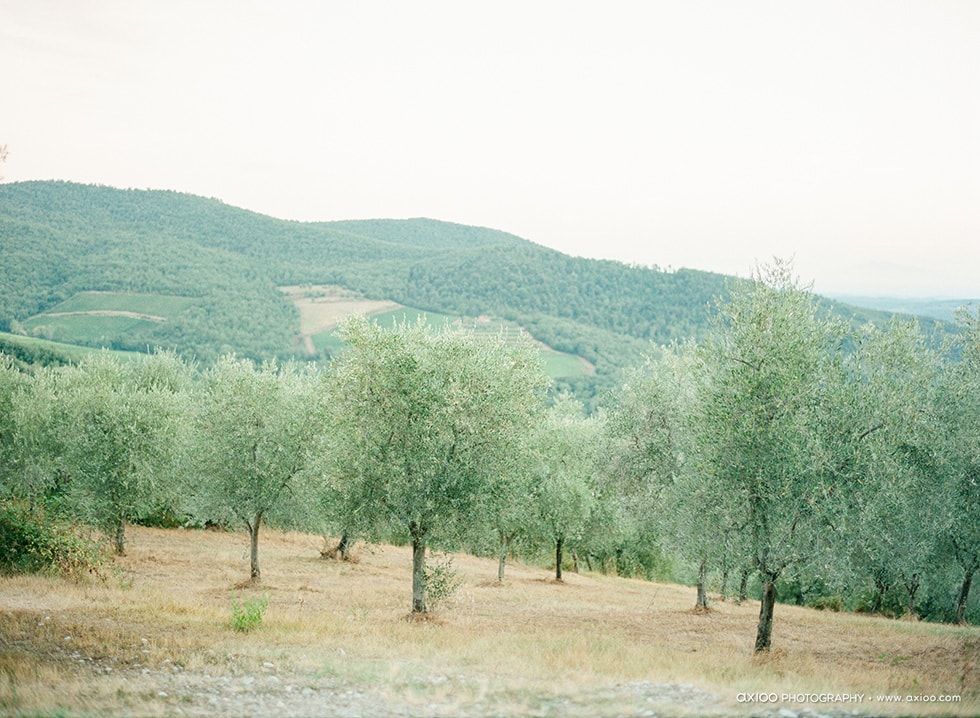 Axioo: A Sip of Brunello di Montalcino